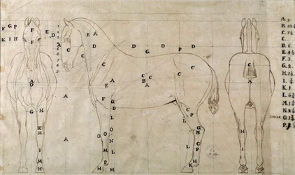 Studie für ein Pferd für ein Reitermonument