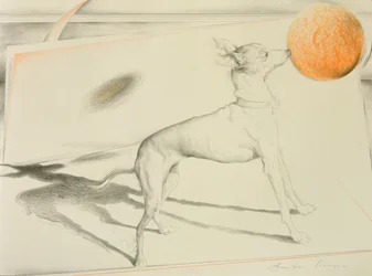 Weltraumhund