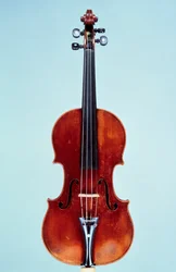 Violine