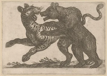 Ein Bär kämpft mit einem Tiger