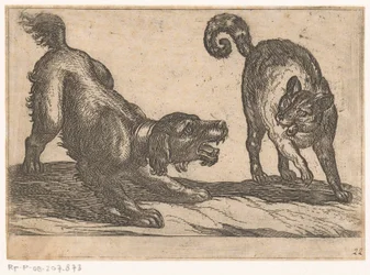 Ein Hund kämpft mit einer Katze