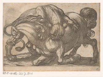 Eine Löwin greift ein Pferd an