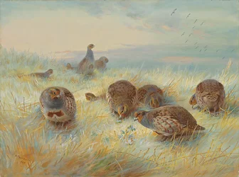 Ein frostiger Morgen