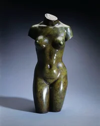 Torso einer jungen Frau