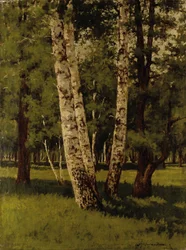 Birken