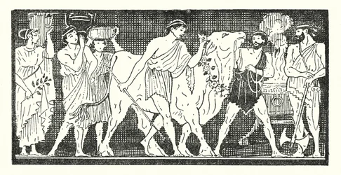 Nestor und seine Gefährten führen eine Kuh zum Opfer