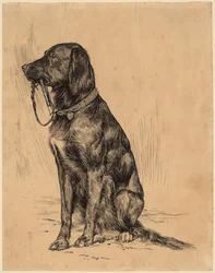 Aldrichs Hund