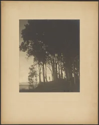 Tanzende Nymphe