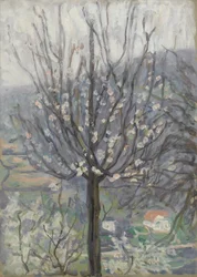 Blüte, früher Morgen