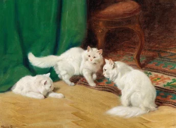 Gespräch unter Katzen
