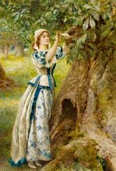 Romantik: "Der Liebesbriefkasten" Eine junge Frau legt einen Brief für ihren Geliebten in einen Baumstamm. Gemälde von Arthur Hopkins (1848-1930)