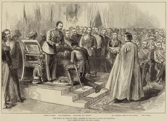 Der Prinz von Wales in Indien, Kapitel des Sterns von Indien in Allahabad