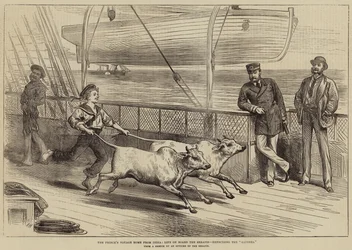 Die Heimreise des Prinzen aus Indien, Leben an Bord der Serapis, Übung der Gainees