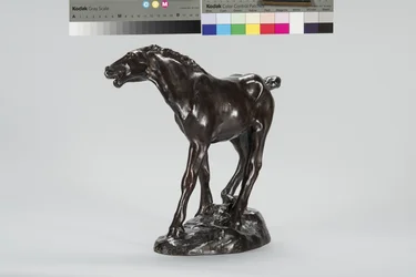 Fohlen (Bronze)