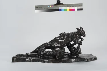 Känguru und Hund