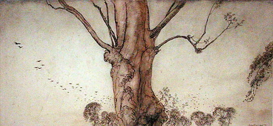 Barbaras Baum