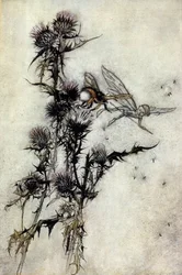 Illustration von Arthur Rackham (1867-1939) für Ein Sommernachtstraum von William Shakespeare