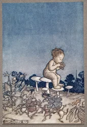 Peter Pan ist das Orchester der Feen, aus Peter Pan in Kensington Gardens von J. M. Barrie (1860 - 1937), veröffentlicht 1906