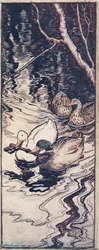Die Enten, die er einst gerettet hatte, tauchten und brachten den Schlüssel aus der Tiefe, aus Die Märchen der Brüder Grimm, veröffentlicht 1909