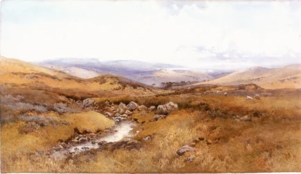 Auf den Windermere-Hügeln