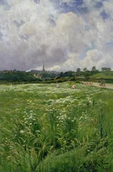 Heuernte