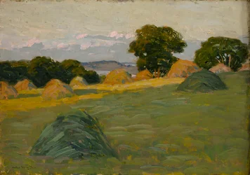 Das Hügel-Feld