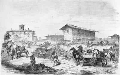 Schlacht von Basic Fuchsin 1859