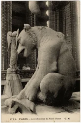 Wasserspeier oder Chimäre der Kathedrale Notre Dame de Paris, erbaut zwischen 1163 und dem 14. Jahrhundert - Postkarte, Sammlung Selva
