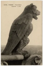 Wasserspeier oder Chimäre der Kathedrale Notre Dame de Paris, erbaut zwischen 1163 und dem 14. Jahrhundert - Postkarte, Selva-Sammlung