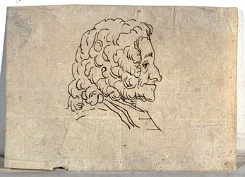Voltaire, Zeichnung