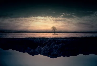 Einsamer Baum Spiegelung