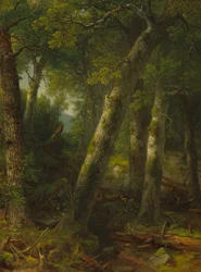 Wald im Morgenlicht
