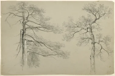 Studie von zwei Bäumen, Hague, Lake George, New York, 1862