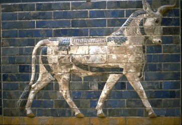 Das Ischtar-Tor, Babylon. Relief eines Stiers, 6. Jahrhundert v. Chr.