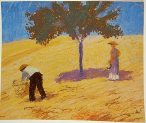 Baum in einem Roggenfeld