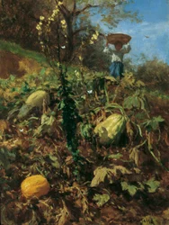 Der Kürbisgarten