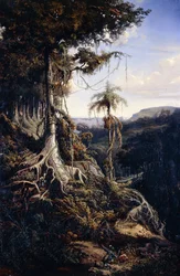 Jala-Jala-Wald