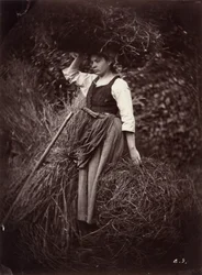 Bauer