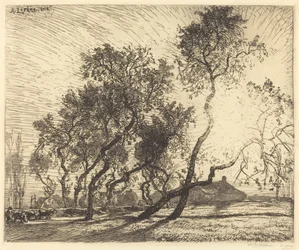 Der Bauernhof mit holländischen Pappeln