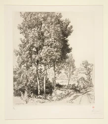 Das Tal des kleinen Morin nahe Verdelot (Seine-et-Marne)