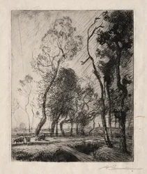 Sonnenuntergang hinter den Bäumen, 1909