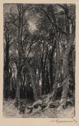 Wald von Fontainebleau: Bas-Bréau, 1890