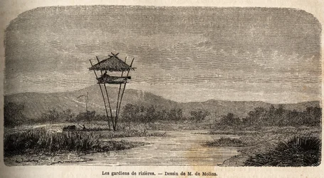 Ein Reiswächter, nahe Batavia (heutiges Jakarta). Zeichnung von M. de Molins, zur Illustration seiner Reise nach Java