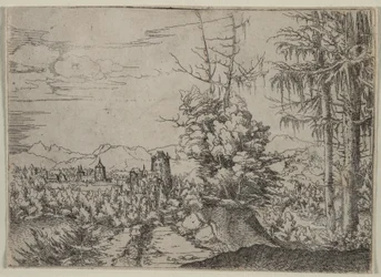Landschaft mit zwei Kiefern
