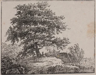 Baum auf einem Abhang am Meer