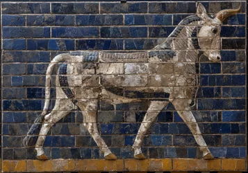 Heiliger Stier - Reliefs aus glasierten Ziegeln vom Ischtar-Tor - Babylon - 604-562 v. Chr. - Zeit Nebukadnezars, Archäologisches Museum Istanbul - Ein Stier, Detail aus glasierten Ziegelplatten mit Darstellungen mythologischer Tiere, die die