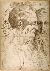 Drei männliche Köpfe nebeneinander