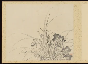 Verfeinerte Eleganz in den vier Jahreszeiten, Album der Blumenmalerei