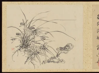 Verfeinerte Eleganz in den vier Jahreszeiten, Album der Blumenmalereien