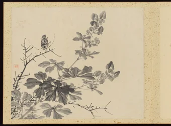 Verfeinerte Eleganz in den vier Jahreszeiten, Album von Blumenmalereien